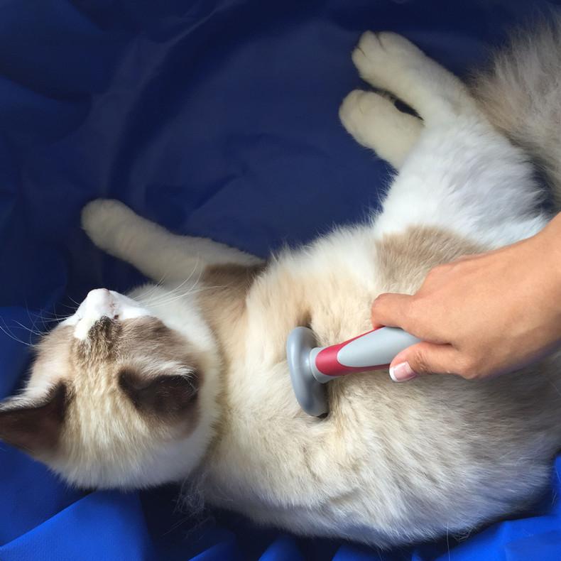 Pet Comb 6
