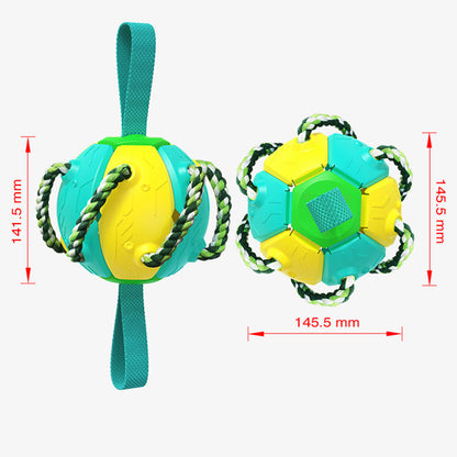 Interactive Flying Disk Ball Dog Toy 6