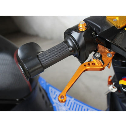 Throttle Mounted Cruise Assist 6