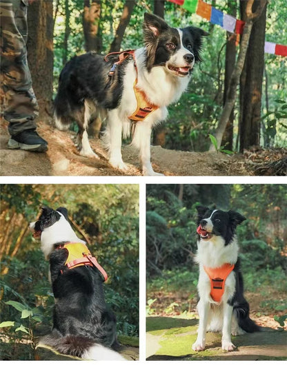 Dog Harness and Retractable Leash Set All-in-One 6