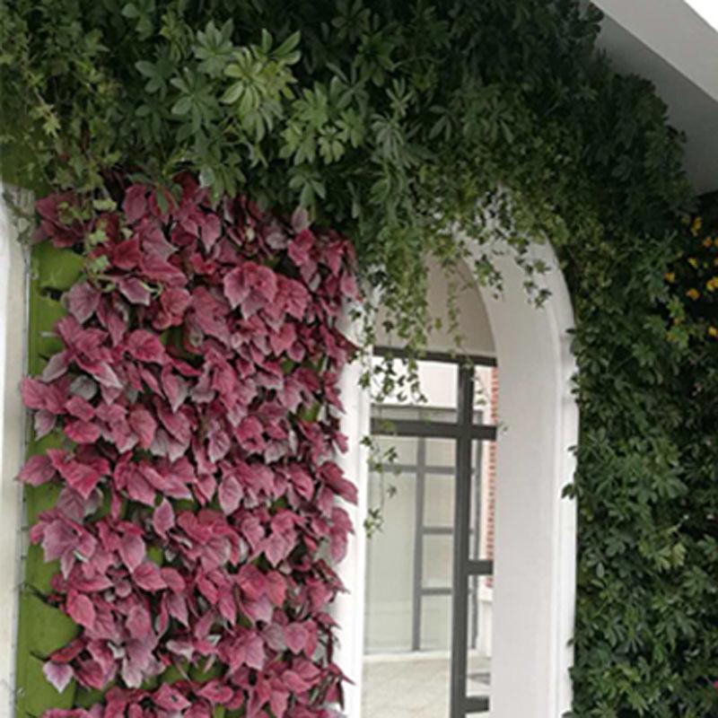 Vertical Hanging Growing Bag 6