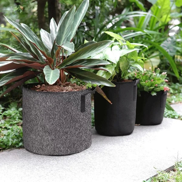 Vegetable Plant Growth Bag 6