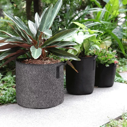 Vegetable Plant Growth Bag 6