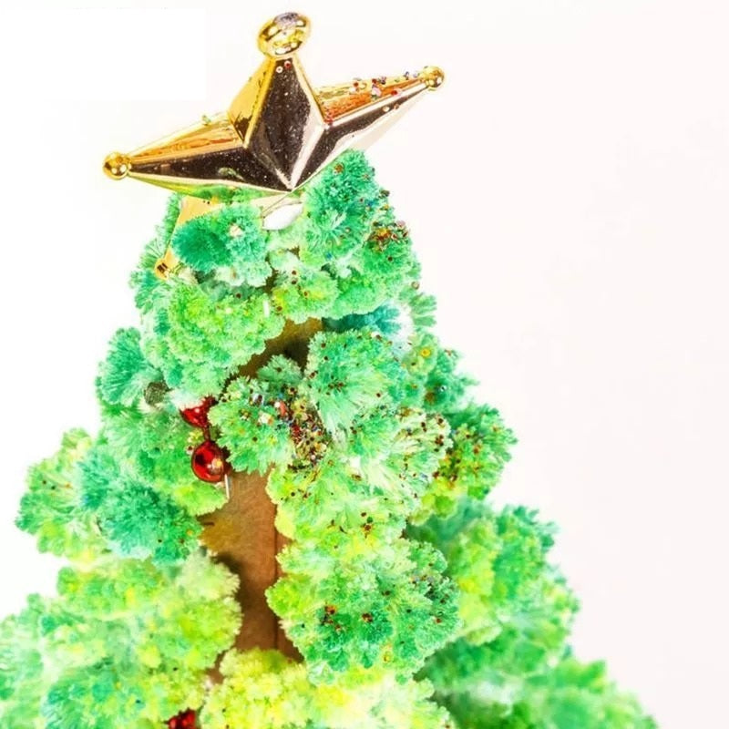 Magic Growing Christmas Tree 6