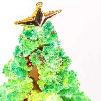 Magic Growing Christmas Tree 6