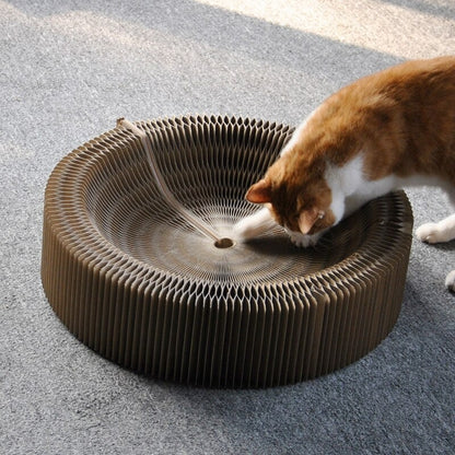 Magic Organ Cat Scratching Board 6