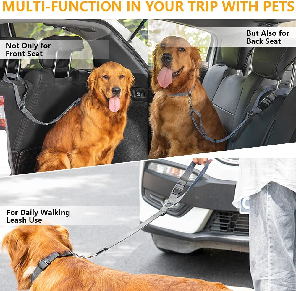 New Design Car Dog Leash 6