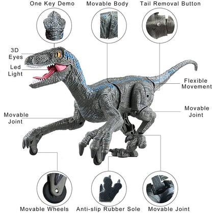 Remote Control Dinosaur Toys 6