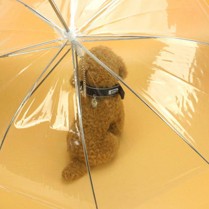 Transparent Dog Umbrella 6