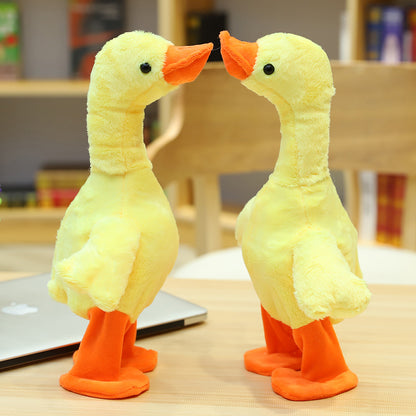 The Talking, Singing and Walking Duck 6