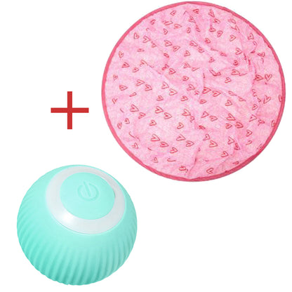 2 in 1 Simulated Interactive Hunting Cat Toy 6