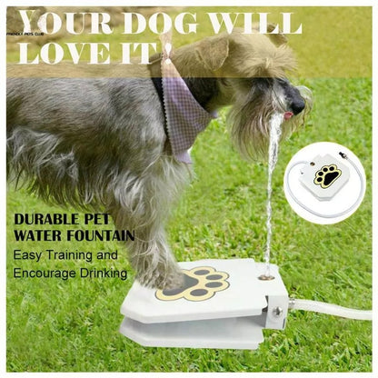 Dog Water Fountain 6