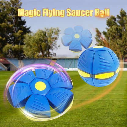 Doggy Flying Saucer Disc Ball 6