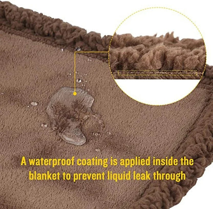 Waterproof Intimacy Blanket 6