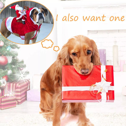 Santa Claus Pet Custom 4