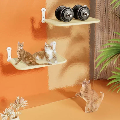 Suction Cup Cat Hammock – Foldable Window-Mounted Cat Bed & Suspended Nest for Balcony or Glass Surfaces 6