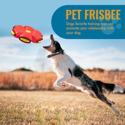 Pet Toy Flying Saucer Ball 6