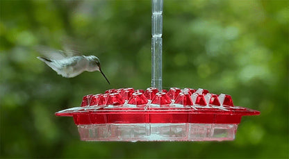 Mary's Sweety Hummingbird Feeder 6