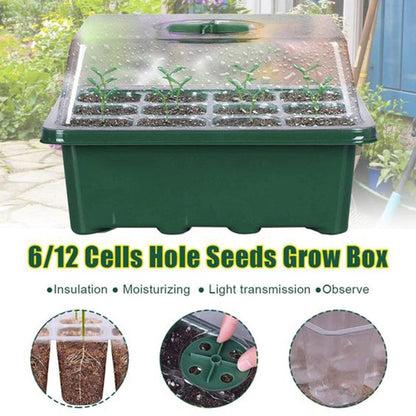 Mini Greenhouse Seed Starter Tray - 5 pcs 6