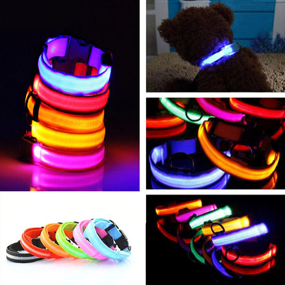 Premium Glow In The Dark LED Dog Safety Collar 4