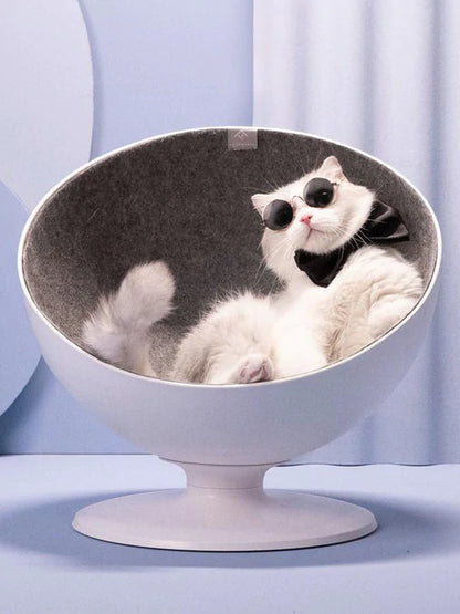 Cool Cat Bed 6
