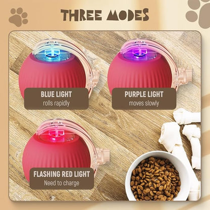 BounceTug Play Ball – Interactive Pet Toy 6