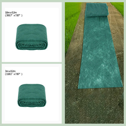 Grass Seed Mat 6