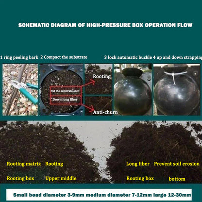 Plant Rooting/ Growing Balls (5 pcs) 6