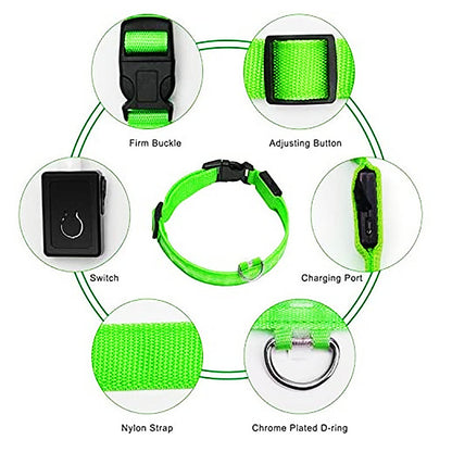 LED Flashing Dog Collar 6