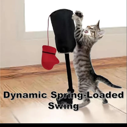 Interactive Cat Punching Bag Toy 6