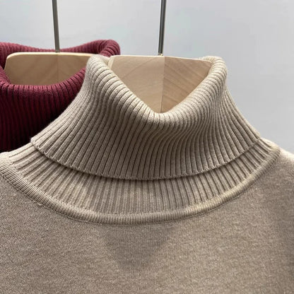 Winter Fleece Thick Knitted Bottoming Shirt 6