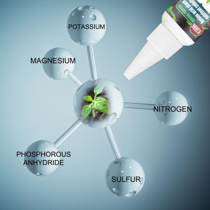 Plant Nutrient Solution 6
