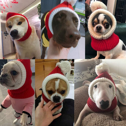 Stylish Pet woollen Hat 6