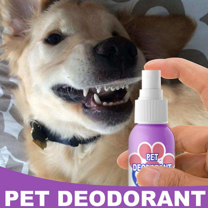 Pet Oral Cleaning Freshener Spray 5