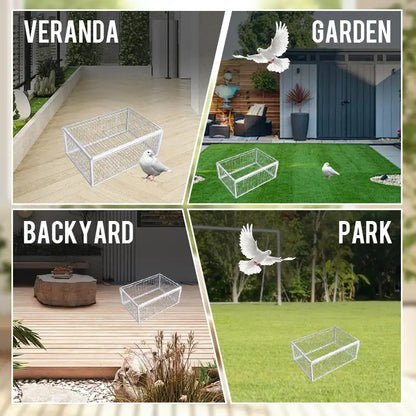 AutoTrap Bird Cage 5