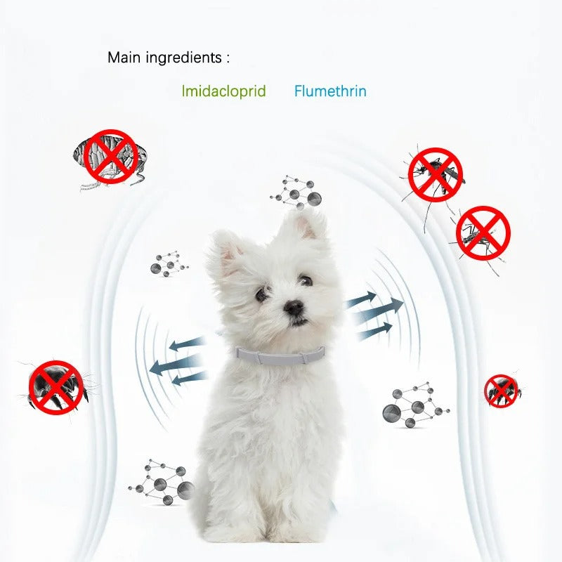 Flea and Tick Pet Collar 7