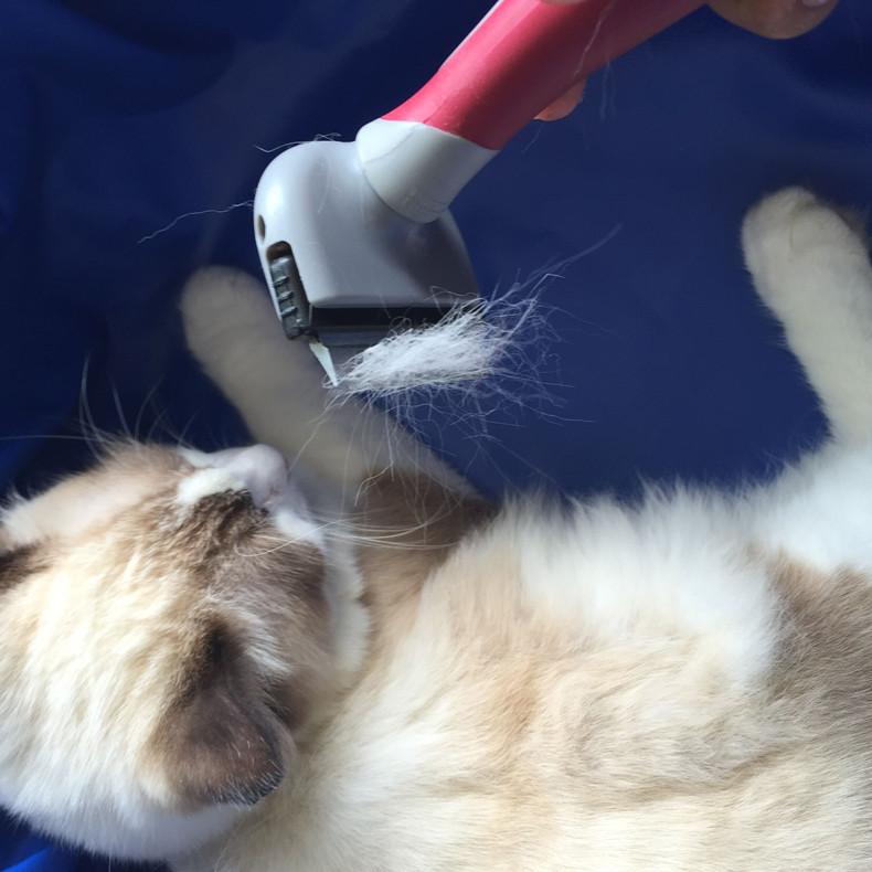 Pet Comb 7