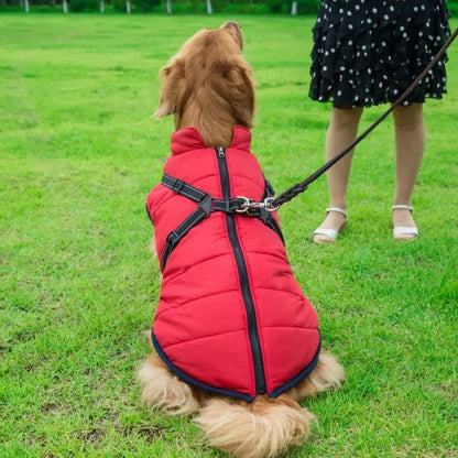 3 in 1 Winter Dog Jacket 6