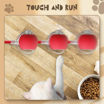 BounceTug Play Ball – Interactive Pet Toy 7