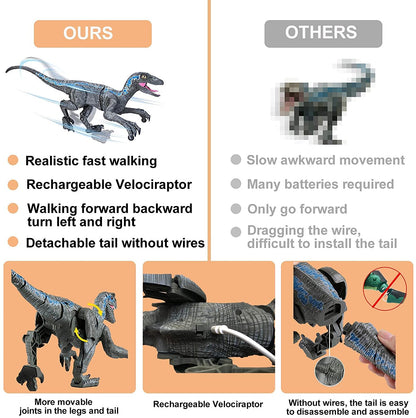 Remote Control Dinosaur Toys 7
