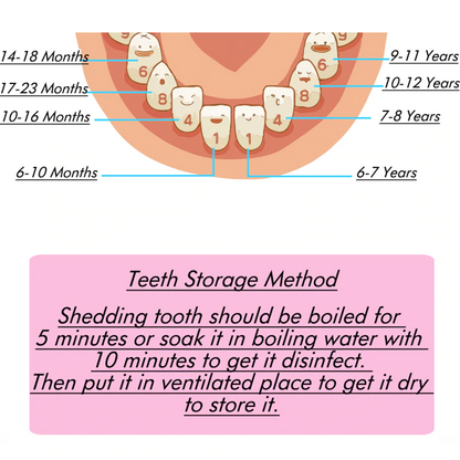 Baby Teeth Keepsake Box 7