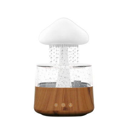 Rain Cloud Diffuser Humidifier 7