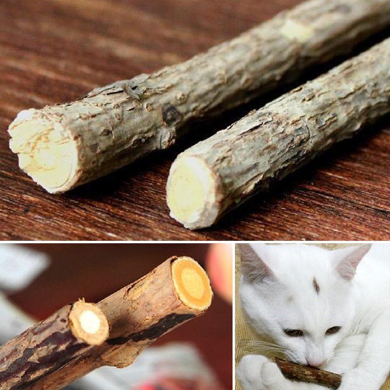 Chompy Sticks 8
