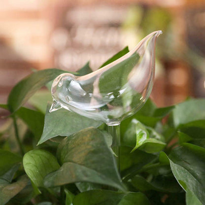 Bird Shaped Plant Self Watering Glass Globes 8