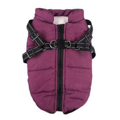 3 in 1 Winter Dog Jacket 7