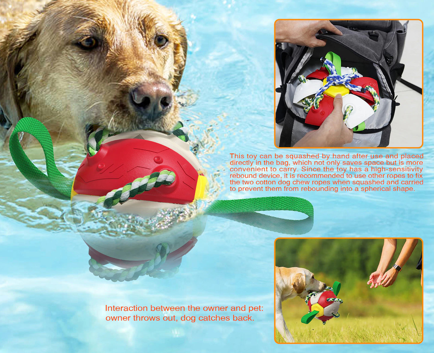 Interactive Flying Disk Ball Dog Toy 8
