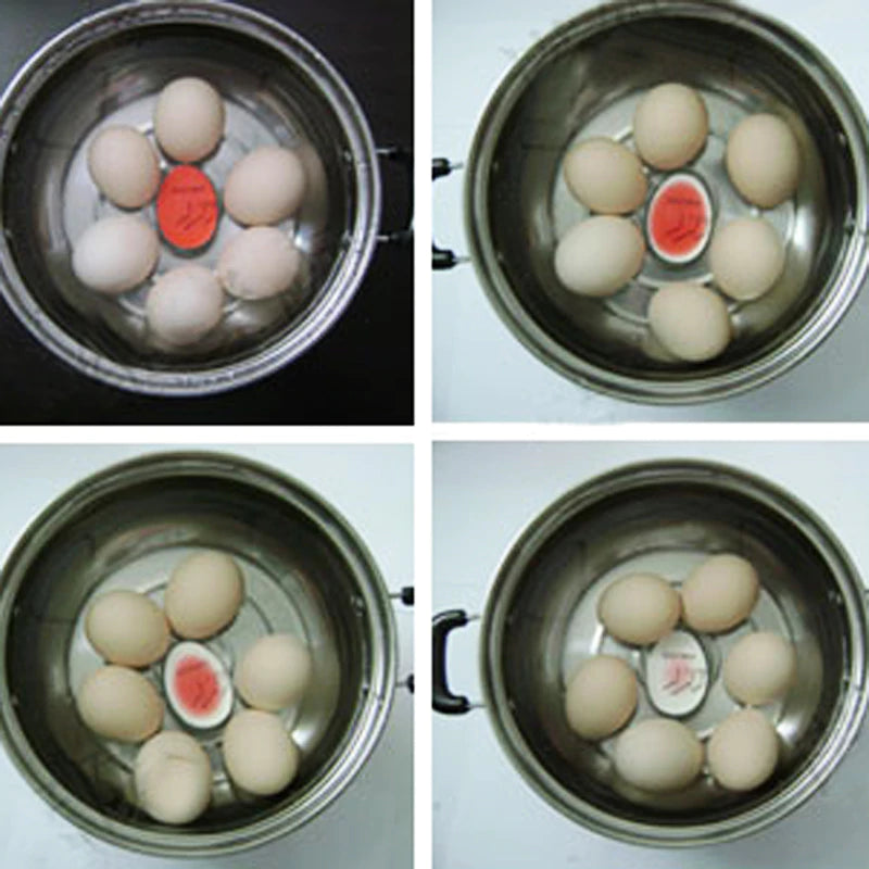 Eggsact Color Changing Egg Timer 9