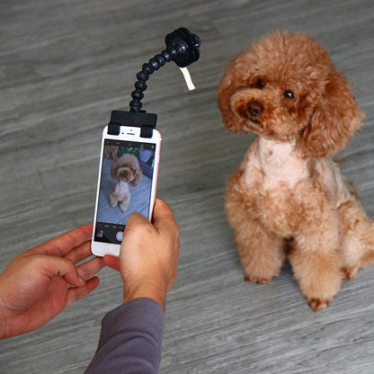 Dog Selfie Stick 1