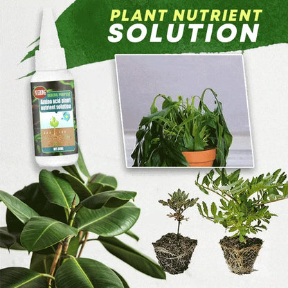 Plant Nutrient Solution 1