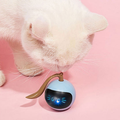 Interactive Self-Rolling Ball Cat Toy 1